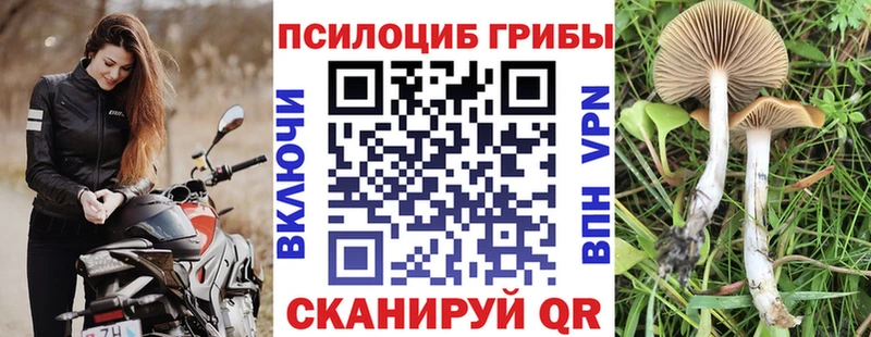 Галлюциногенные грибы мухоморы  omg маркетплейс  Жердевка 